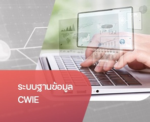 ระบบฐานข้อมูล CWIE