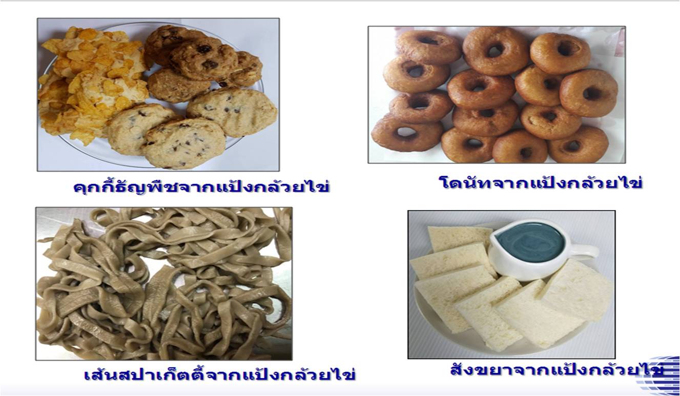 แปรรูป 2