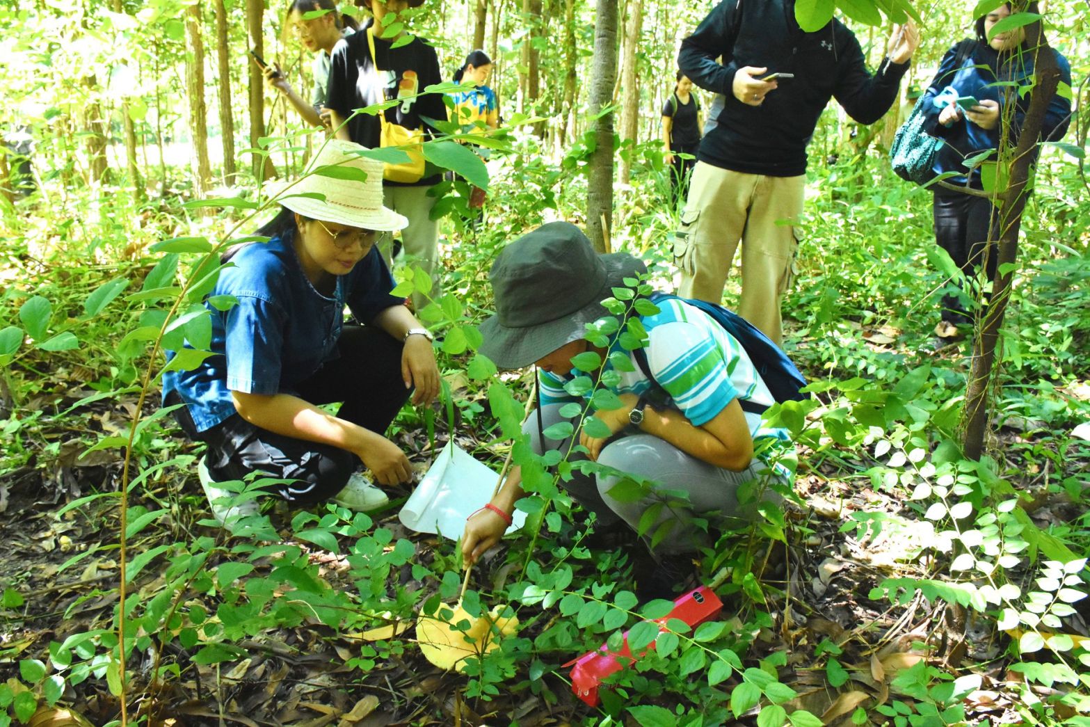 17 สำรวจเห็ดป่าในป่าชุมชน