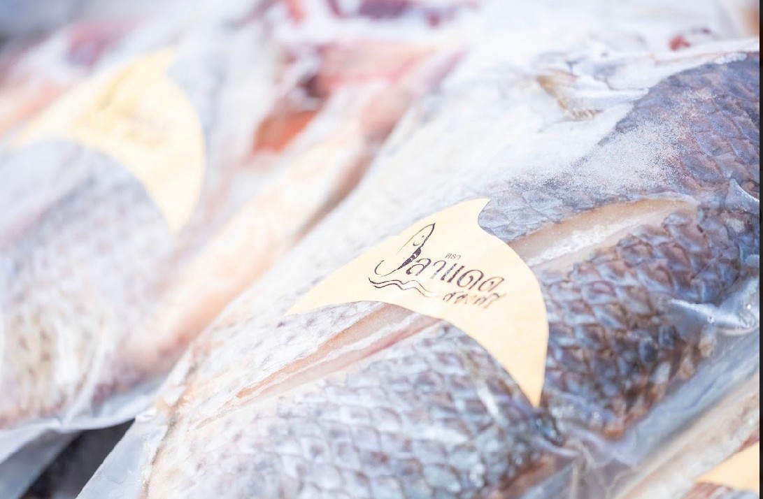 LINE ALBUM 30 มี.ค. 66 U2T กาญจนบุรี ๒๓๐๓๓๑ 2