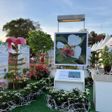 วว. โชว์ผลงานเพิ่มศักยภาพการผลิตและปลูกเลี้ยงไม้ดอกไม้ประดับ ... พารามิเตอร์รูปภาพ 3