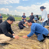 วว./วช. /เทศบาลนครเชียงราย ร่วมหารือหน่วยงานในพื้นที่กำหนดแน ... พารามิเตอร์รูปภาพ 2