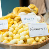 สวทช. ผนึกกำลัง กรมหม่อนไหม และ ธ.ก.ส. ชูนวัตกรรมยกระดับอุตส ... พารามิเตอร์รูปภาพ 5