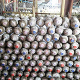 ไบโอเทค สวทช. นำทัพนักวิชาการลงพื้นที่แขวงสะหวันนะเขต สปป.ลา ... พารามิเตอร์รูปภาพ 3