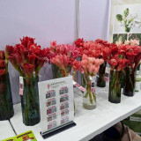 วว./วช. โชว์ศักยภาพโครงการศูนย์รวมผู้เชี่ยวชาญด้านเทคโนโลยีก ... Image 2