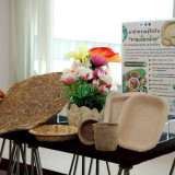 วว. ต้อนรับสถาบันพัฒนาองค์กรชุมชนฯ ในโอกาสหารือและศึกษาดูงาน ... Image 2