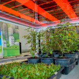 กรมสมเด็จพระเทพฯ เสด็จฯ เปิดงาน NAC2026 สวทช. ชูธง ‘เศรษฐกิจ ... Image 1