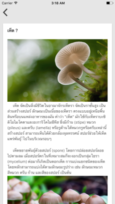 Mushroom Cultivation พารามิเตอร์รูปภาพ 2