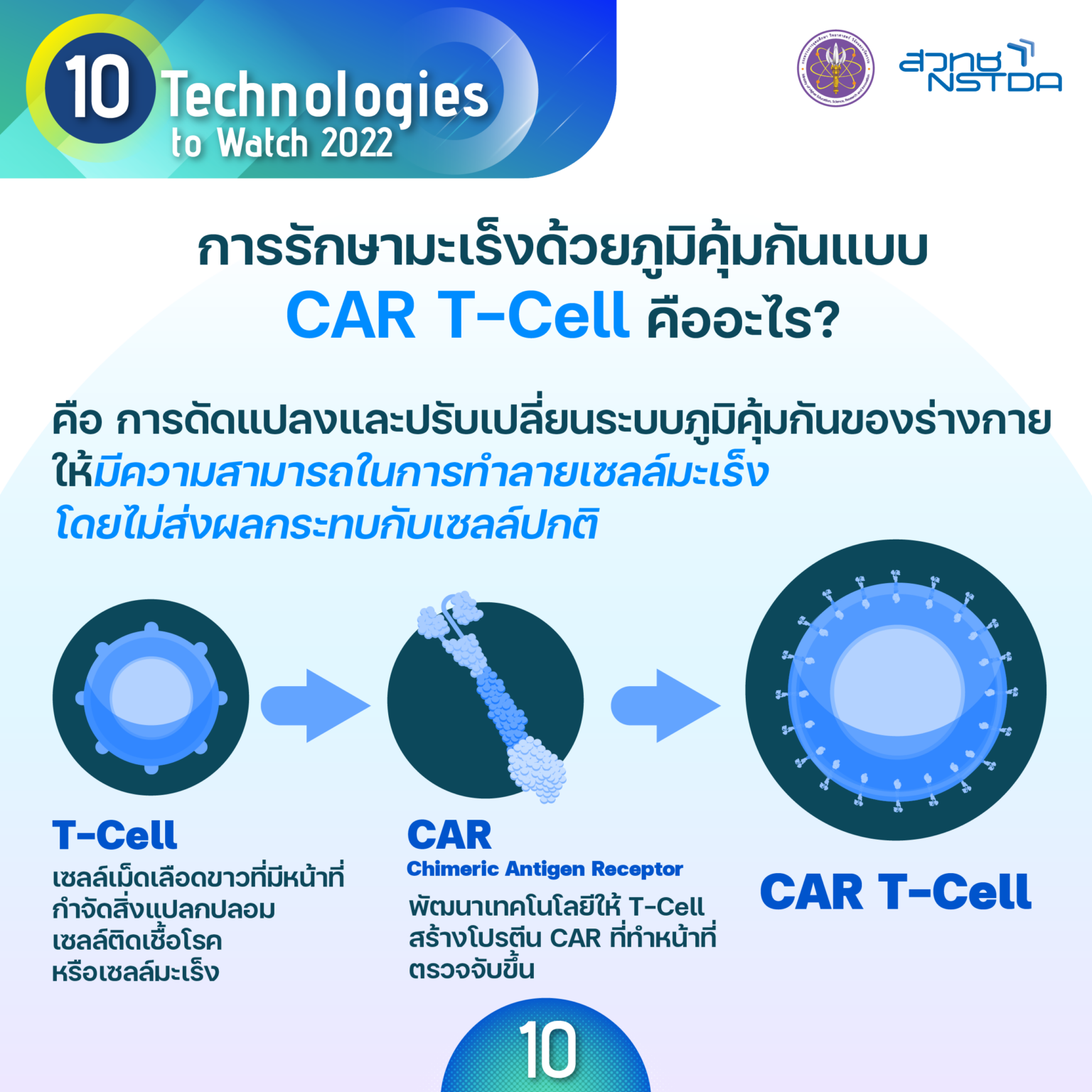 19 10 tech tech10 Chimeric Antigen Receptor T Cell Therapy 3 1536x1536