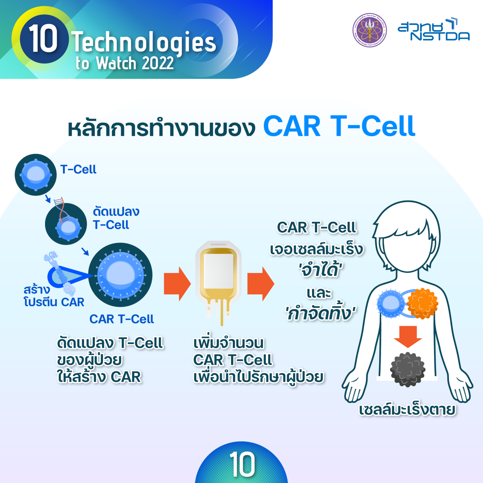 19 10 tech tech10 Chimeric Antigen Receptor T Cell Therapy 4 04 1536x1536