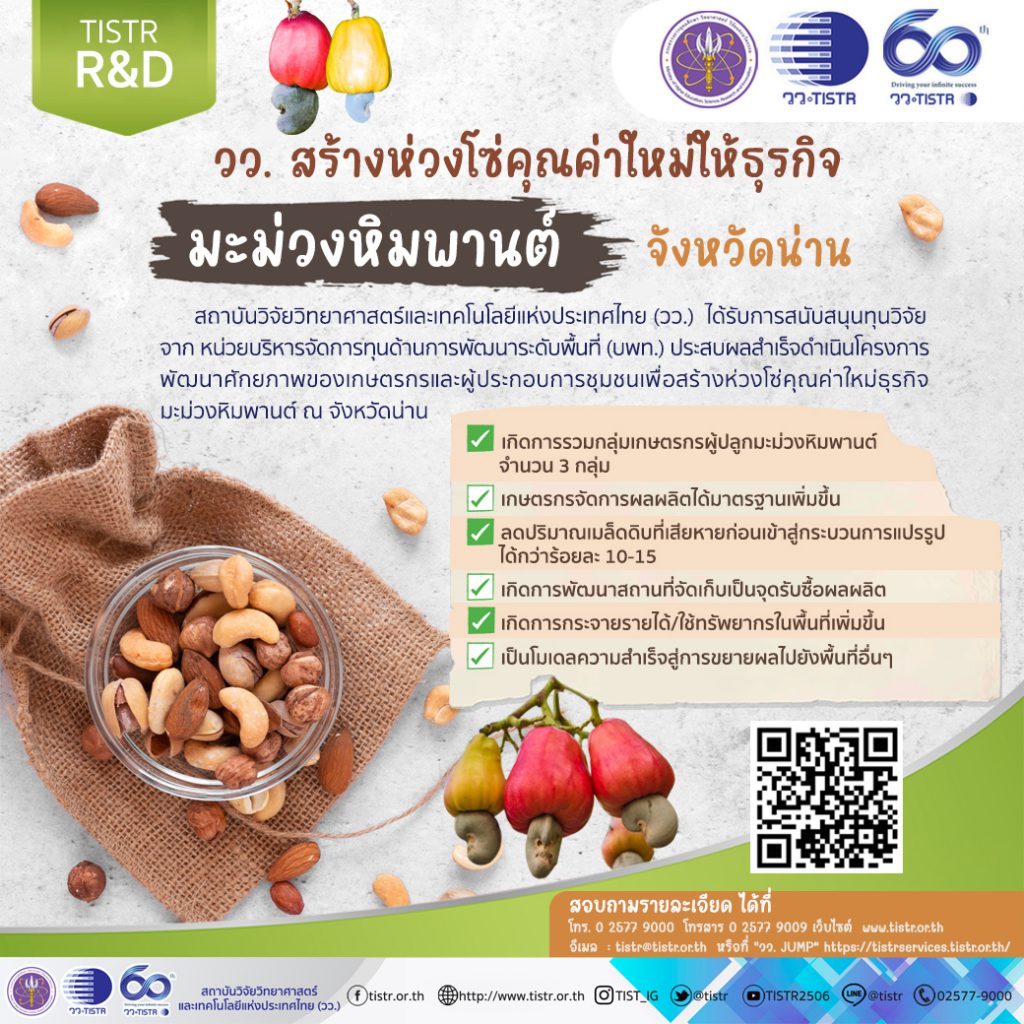 INFO โครงการมะม่วงหิมพานต์ 1024x1024