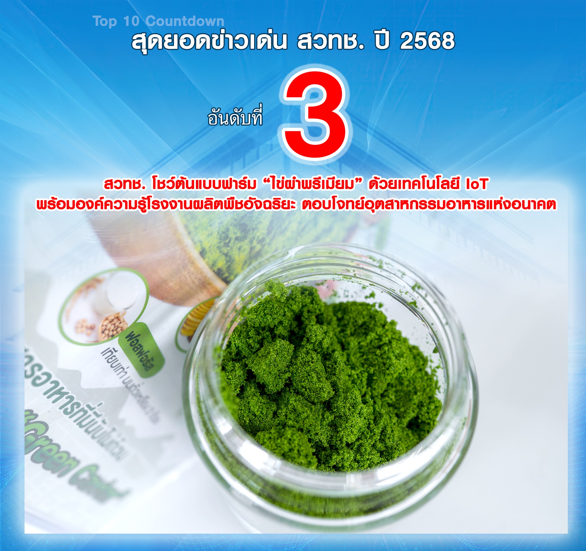 602313012 1310675394435161 3397249389443419262 n