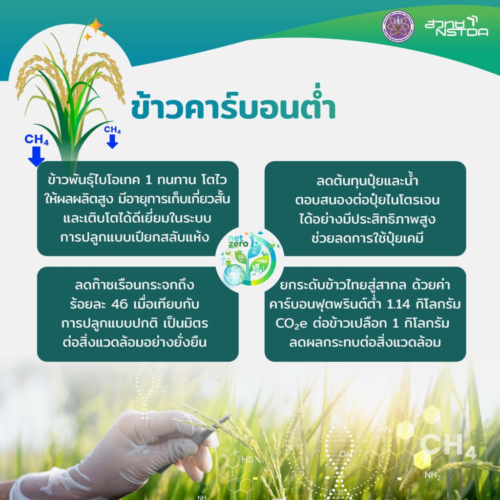 infographic LowCarbon FINAL Page 2 1024x1024